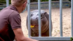 Expédition Pairi Daiza S07E06