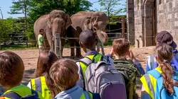 Expédition Pairi Daiza S08E05