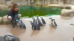 Expédition Pairi Daiza S09E02