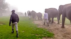 Visuel de Expédition Pairi Daiza