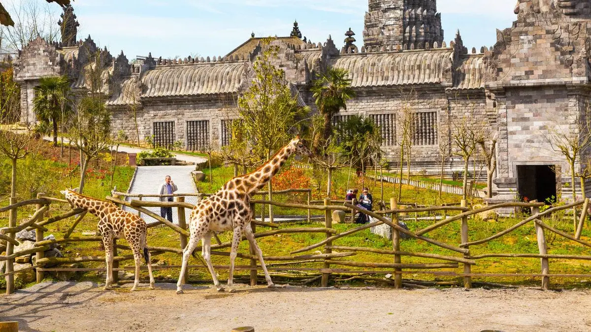 Expedition Pairi Daiza : Un zoo d'exception