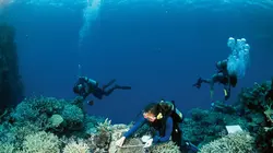 Expédition sur le récif de la Grande Barrière
