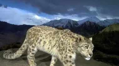 Le sanctuaire de l'Himalaya