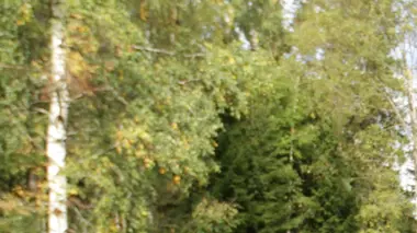 Un génie à la maison