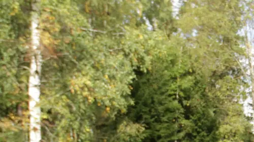 Expériences tous risques Un génie à la maison en streaming