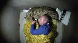 Expériences tous risques Info ou intox ?