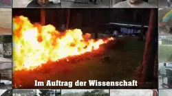 Expériences tous risques Info ou intox ?