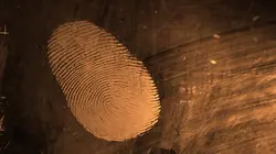 Experts du crime : quand la science mène l'enquête