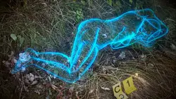 Experts du crime : quand la science mène l'enquête