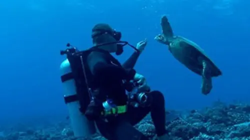 Exploration Pacifique E02 Récifs inexplorés