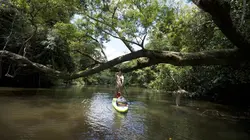 Explorations de l'extrême Opération monde perdu au Suriname