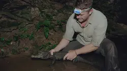 Explorations de l'extrême Gabon : le parc national de Moukalaba-Doudou