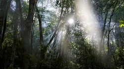 Explorations de l'extrême Un pour tous, tous pour un