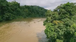 Explorations de l'extrême Gabon : le parc national de Moukalaba-Doudou