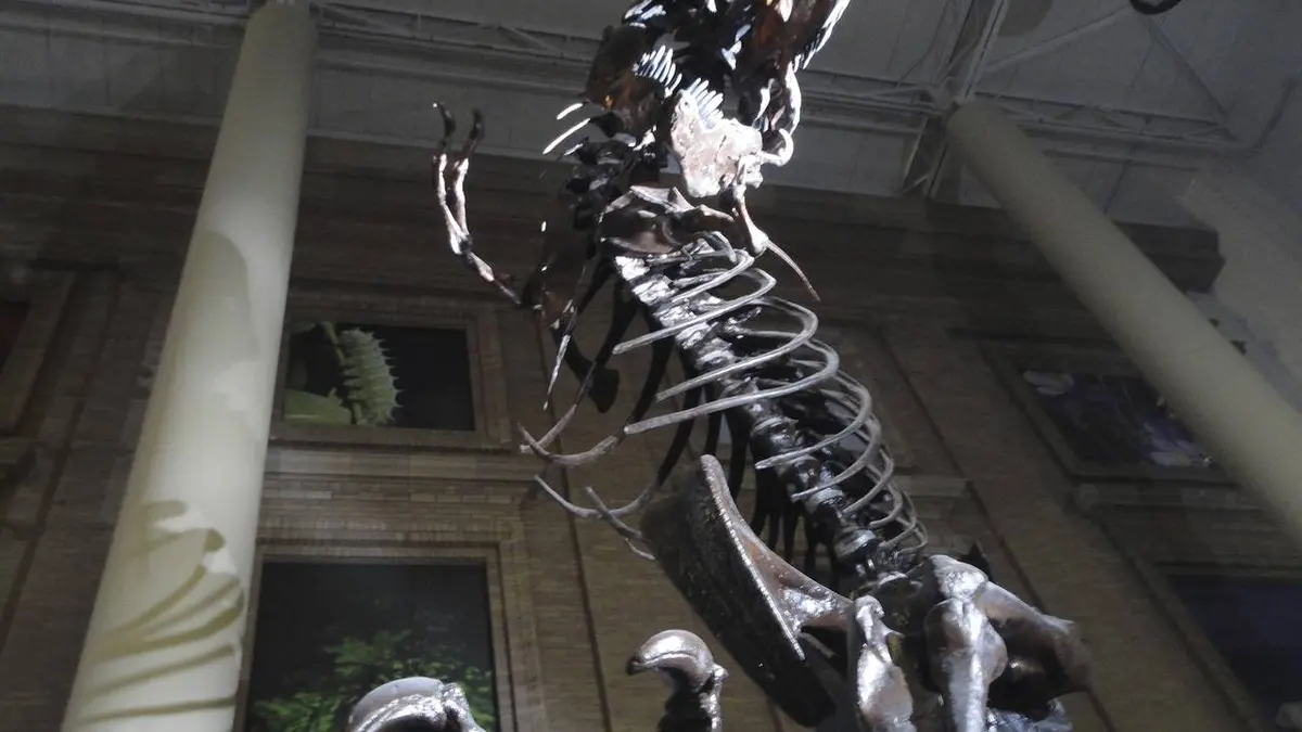 Extinctions massives, la vie en péril