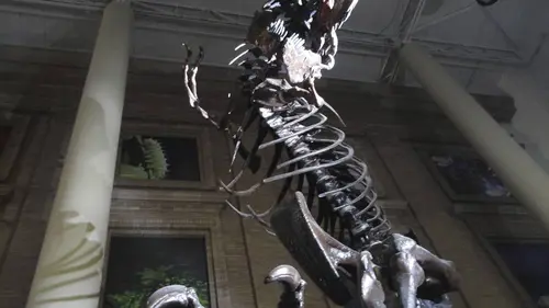 Extinctions massives, la vie en péril