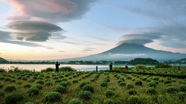 Kasagumo, protecteur du mont Fuji