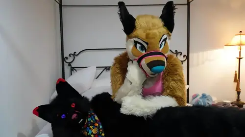 Extreme Love Stories Love is furever