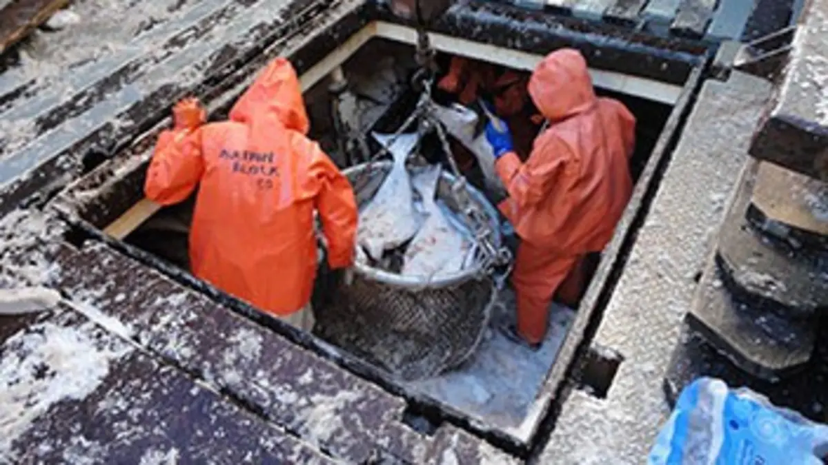 Fabrications sous pression E01