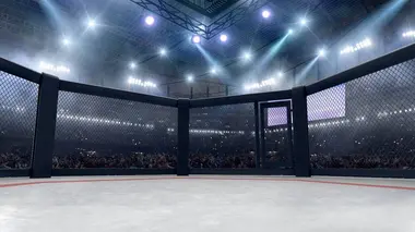 Fabricio Werdum - Renan Ferreira