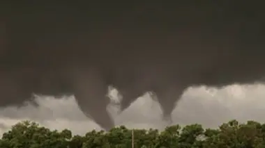 Tornades et abeilles tueuses