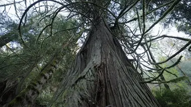 La Colombie-Britannique