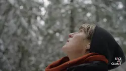 Face au climat les forêts de la Colombie Britannique