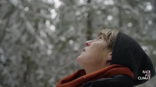 Face au climat les forêts de la Colombie Britannique