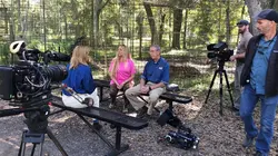 Face au crime Le commerce du tigre