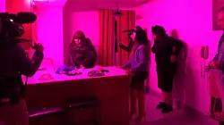 Face au crime Le proxénétisme