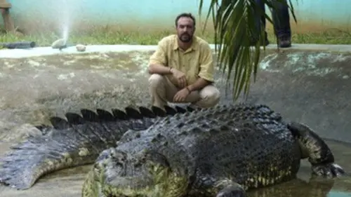 Casting Face au crocodile géant