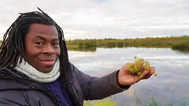 L'Arctique et la Scandinavie