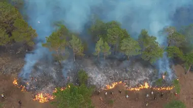 Face aux éléments : la planète en colère