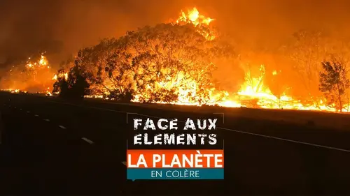 Face aux éléments : la planète en colère S04E04