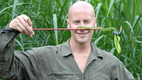 Face aux serpents tueurs