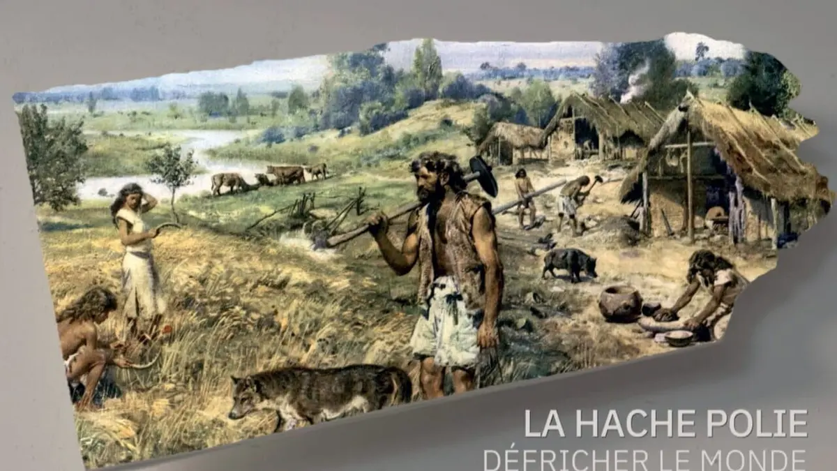 Faire l'histoire S01E03 La hache polie, défricher le monde