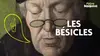 Les bésicles, quand le savoir devient pouvoir