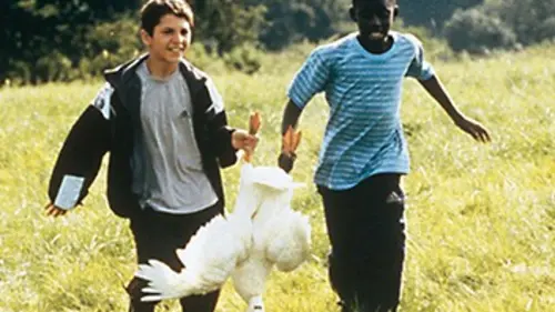 Fais-moi des vacances en streaming