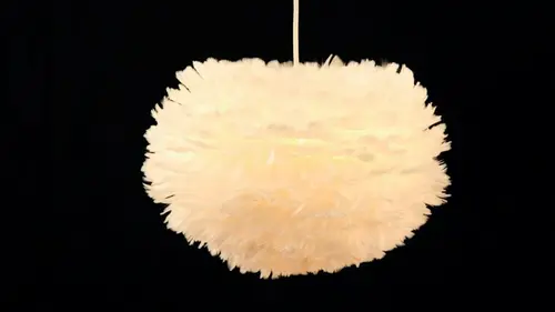 Faites comme chez eux