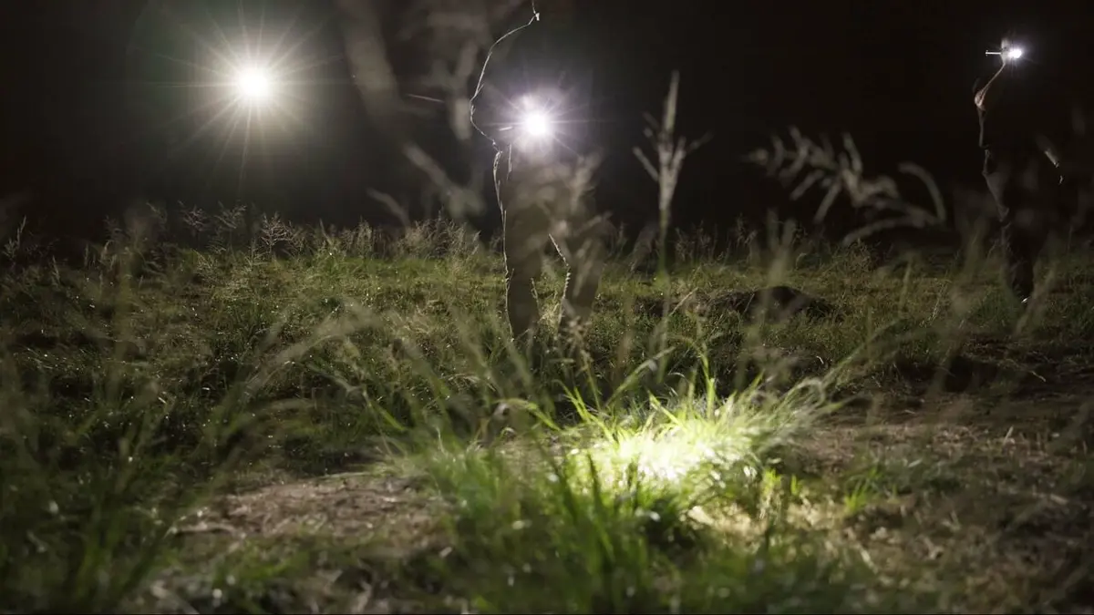 Faites entrer l'accusé S26E10 Du mensonge au crime