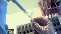 Faites entrer l'accusé Mamadou Traoré : le tueur aux mains nues