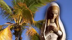 Faites entrer l'accusé S15E08 Juliano Verbard, petit lys d'amour