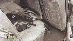 Faites entrer l'accusé Charles et Christophe Cretello, double détente