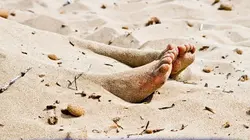 Faites entrer l'accusé Les mensonges de Denize Soares