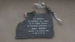 Faites entrer l'accusé Agnès Marin la mort au collège, l'affaire Chambon