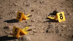 Faites entrer l'accusé Nuit tragique au moulin : l'affaire Ségalat