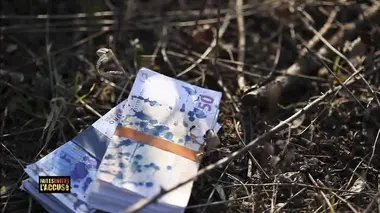 Faites entrer l'accusé Le gang des souris vertes