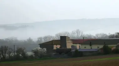 Faites entrer l'accusé S03E05 Philippe Gillet, le taureau des Ardennes