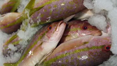 Hameçon, ligne et poids