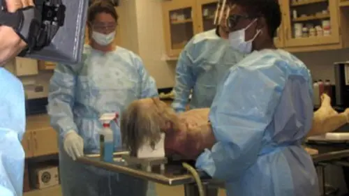 Casting Fallait y penser S03E03